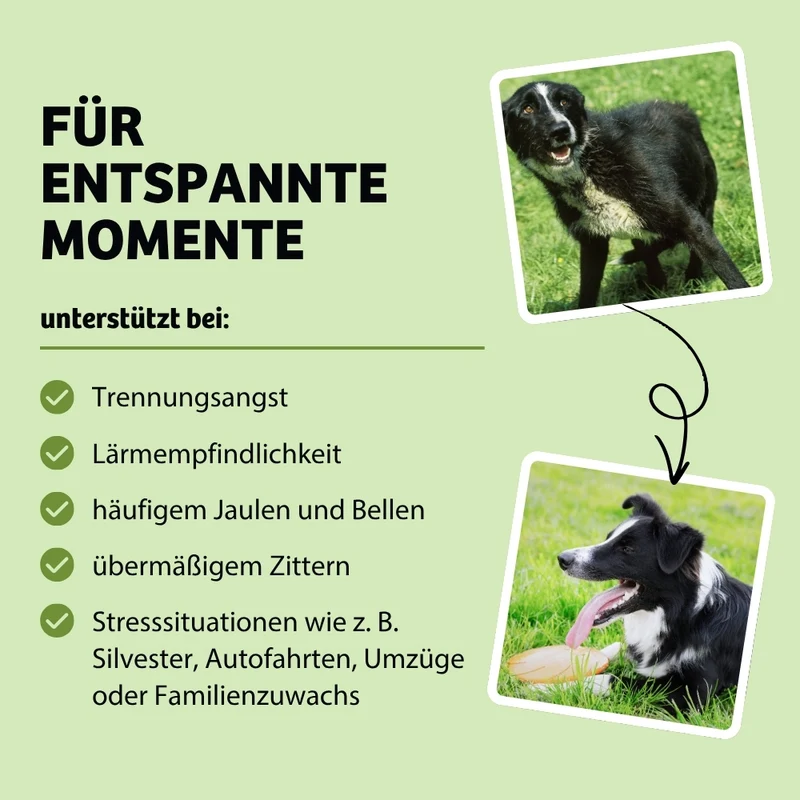 Weiche Hundeleckerli MagicRelax - Angst & Nervosität