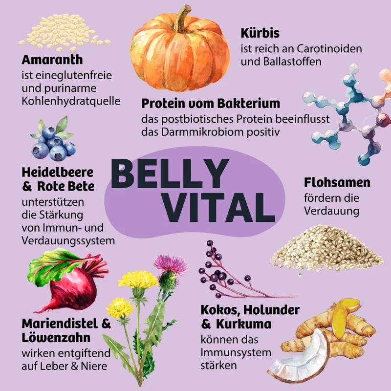 Weiche Hundeleckerli BellyVital - Verdauung & Darmflora