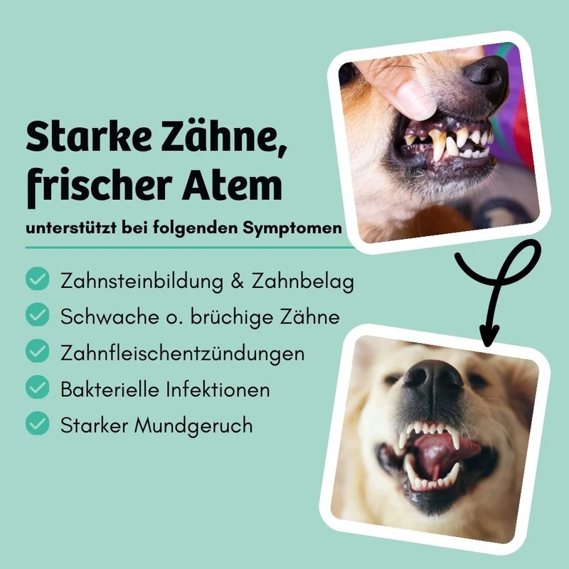 Knabbersticks DentalShine - Mundgeruch & Zahnstein
