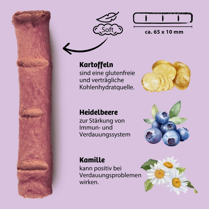 Knabbersticks BellyVital - Verdauung & Darmflora
