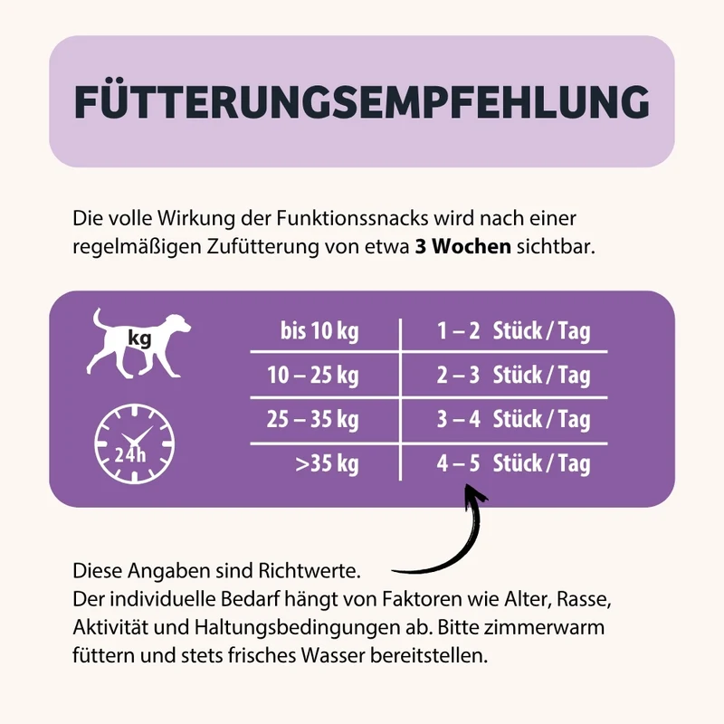 Knabbersticks BellyVital - Verdauung & Darmflora