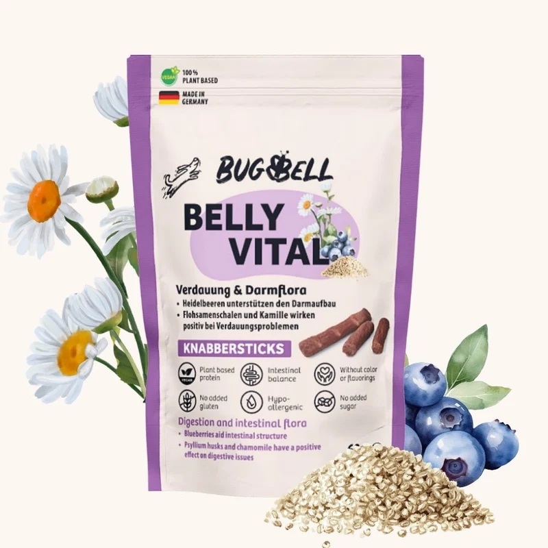 Knabbersticks BellyVital - Verdauung & Darmflora