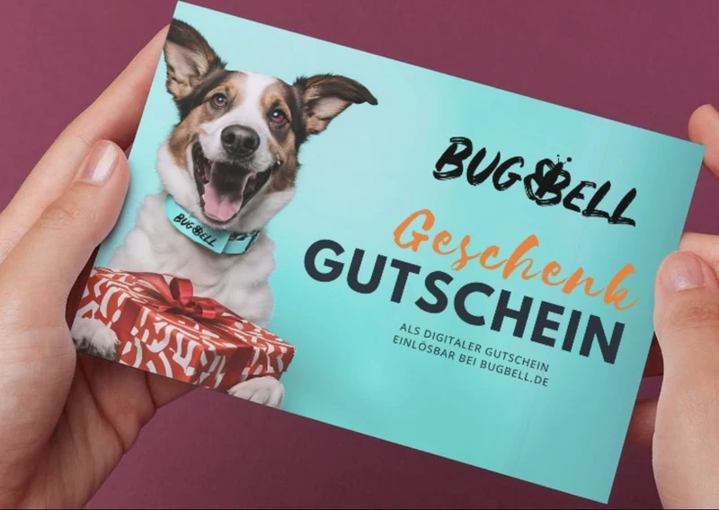 BugBell Geschenkgutschein (digital)