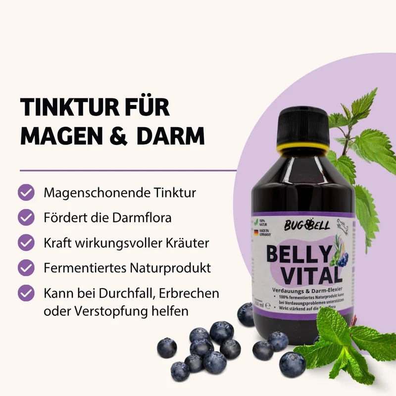 Verdauungs & Darm-Elixier BellyVital