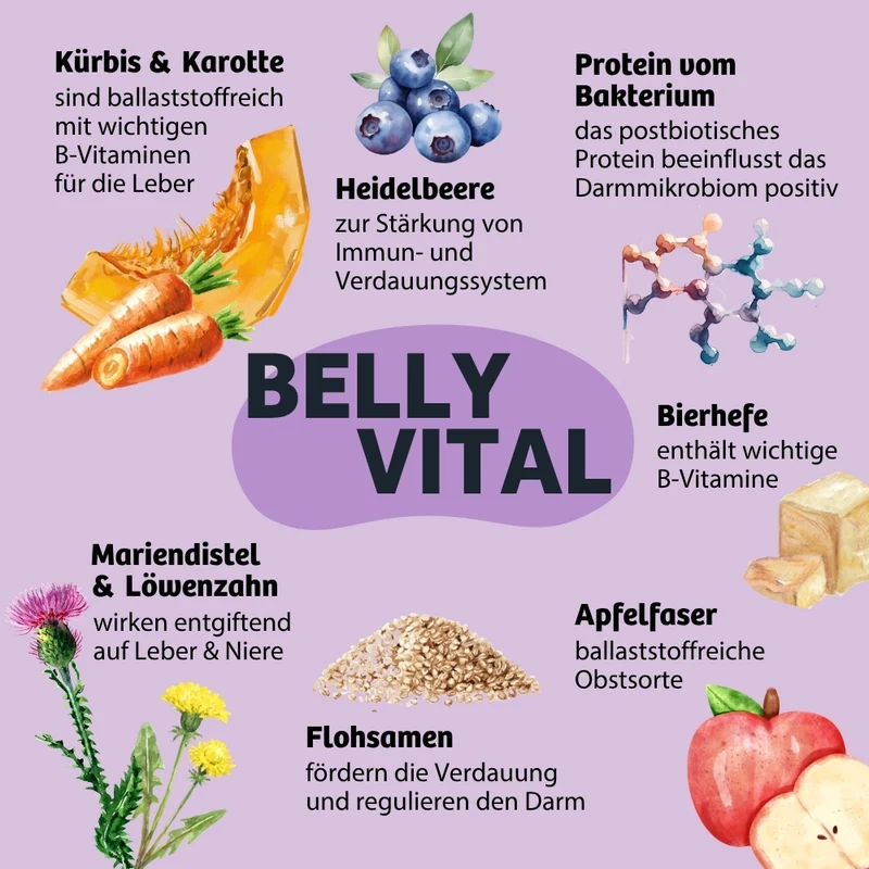 Topping BellyVital - Verdauung & Darmflora