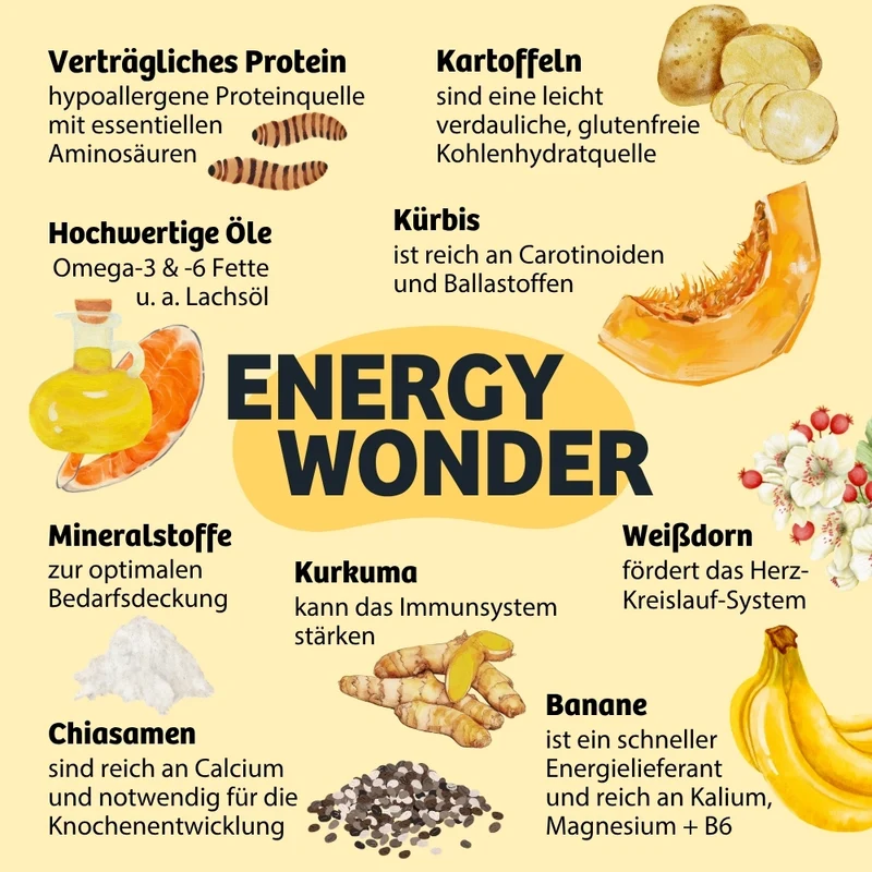 Trockenfutter EnergyWonder - Ausdauer & Energie