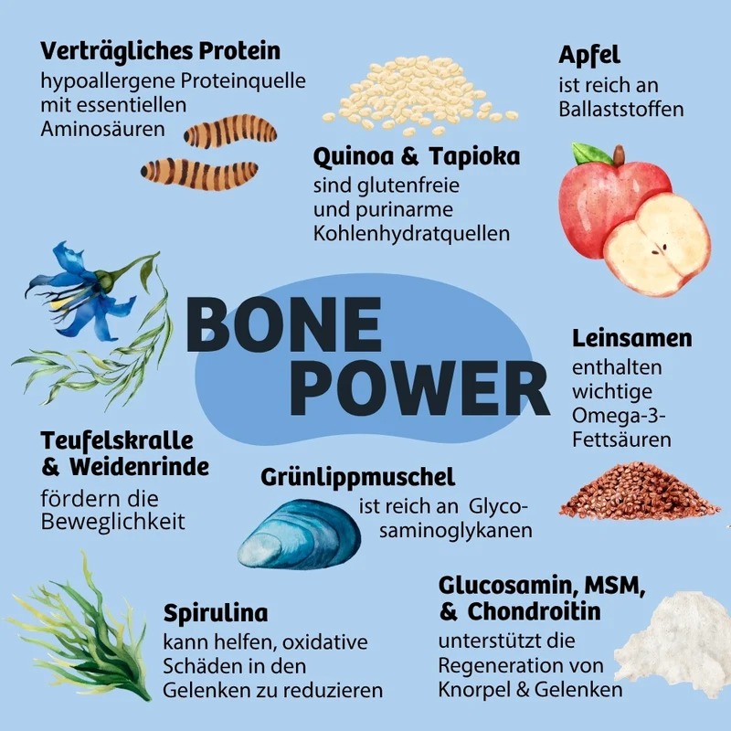 Trockenfutter BonePower - Knochen & Gelenke