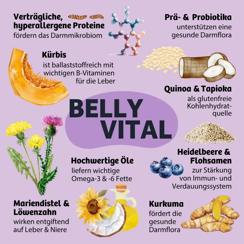 Trockenfutter BellyVital - Verdauung & Darmflora