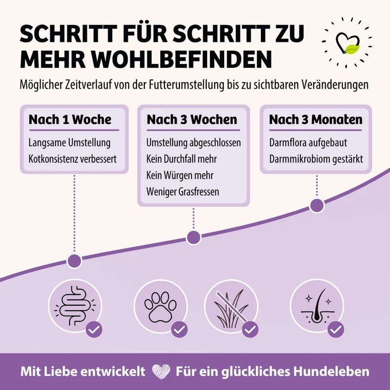 Trockenfutter BellyVital - Verdauung & Darmflora