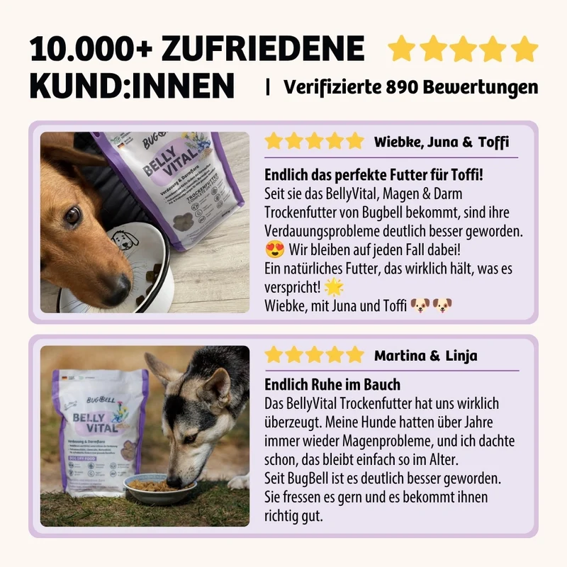 Trockenfutter BellyVital - Verdauung & Darmflora