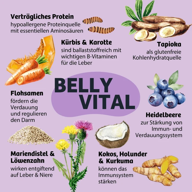 Hundekeks BellyVital - Verdauung & Darmflora