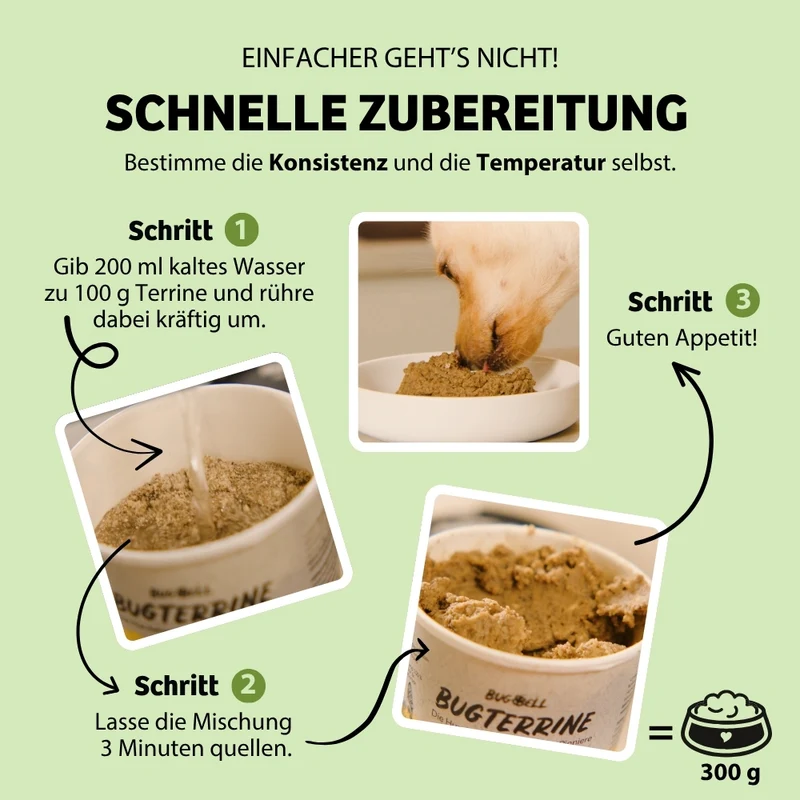 Terrine | Nassfutter zum Anrühren Probierpaket - 2x MagicRelax, 2x HappyMood, 2x EnergyWonder