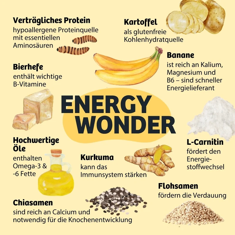 Terrine | Nassfutter zum Anrühren EnergyWonder - Ausdauer & Energie