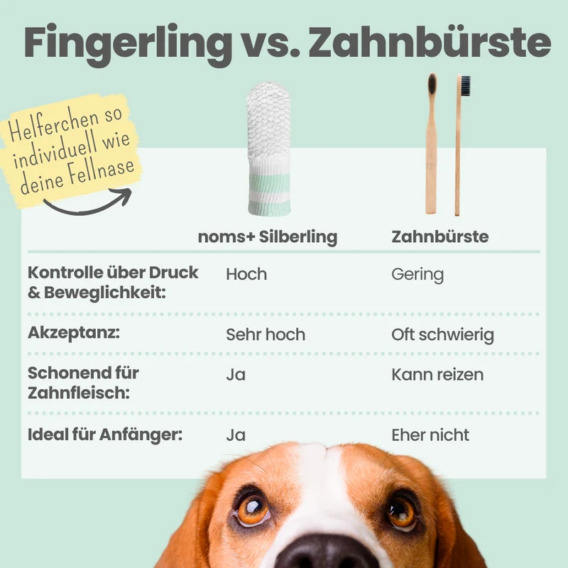 Zahnpasta für Hunde mit natürlicher Pflege- und Präventionsformel