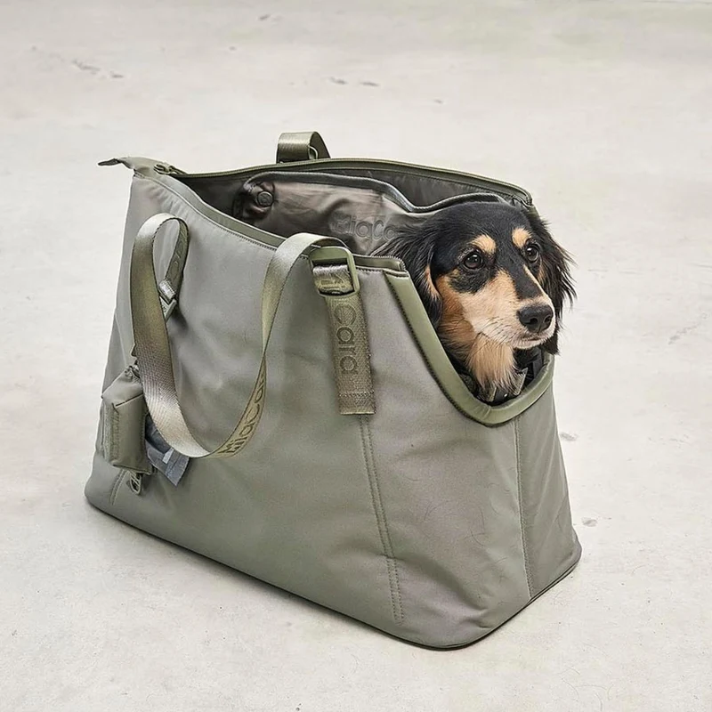 Hundetragetasche Sporta Grolive