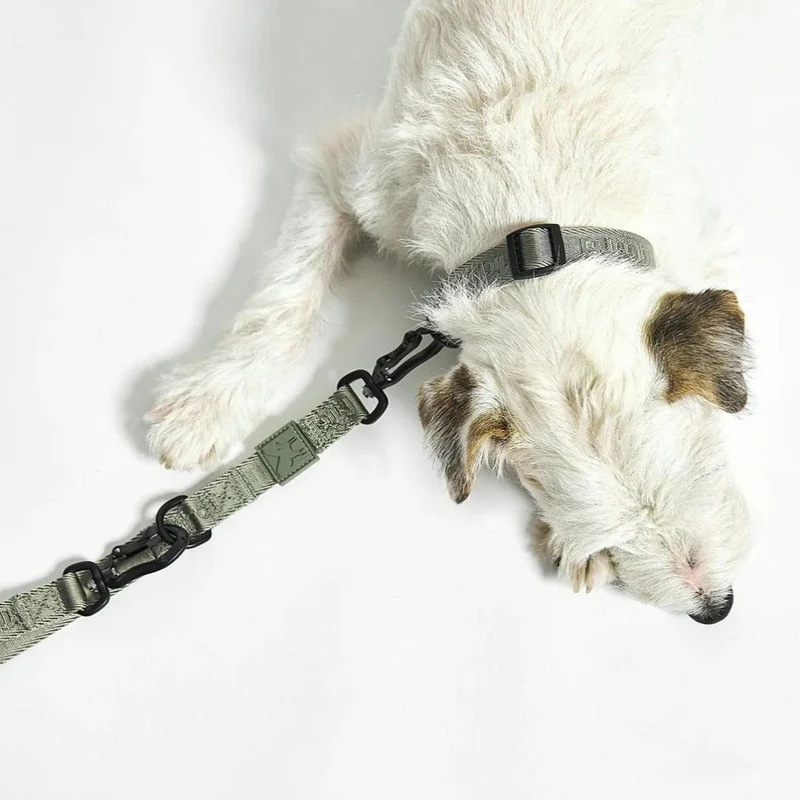 Modena Hundehalsband Grolive