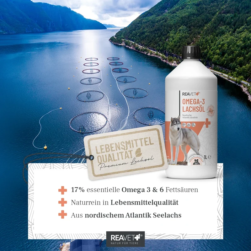 Omega-3 Lachsöl