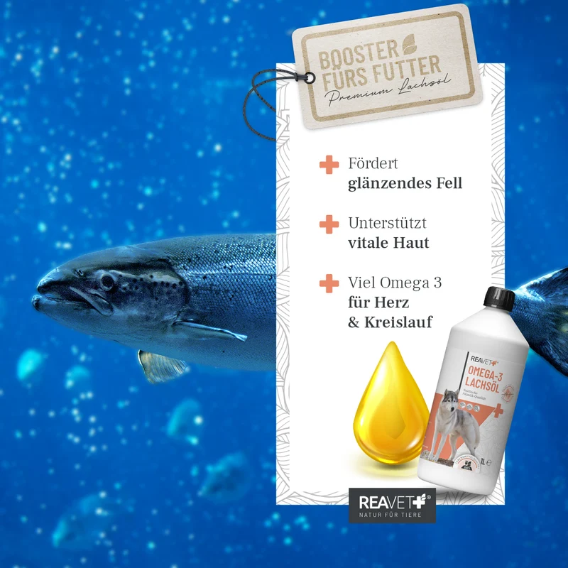 Omega-3 Lachsöl