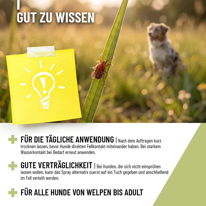 Grasmilben Spray