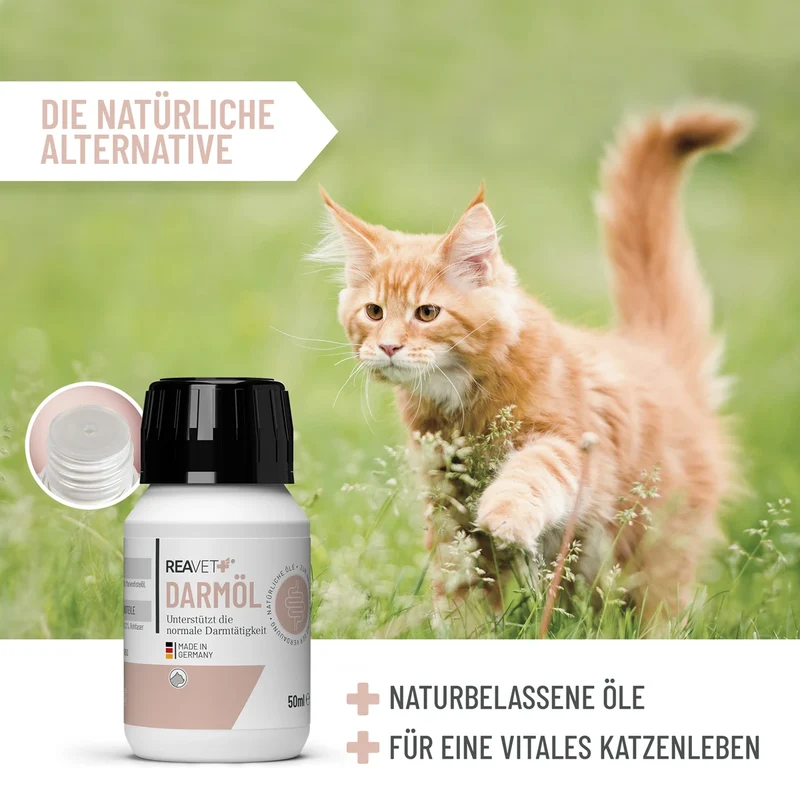Darmöl für Katzen