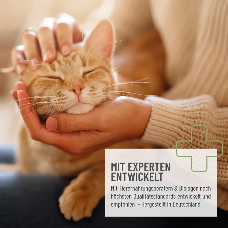 Darmöl für Katzen