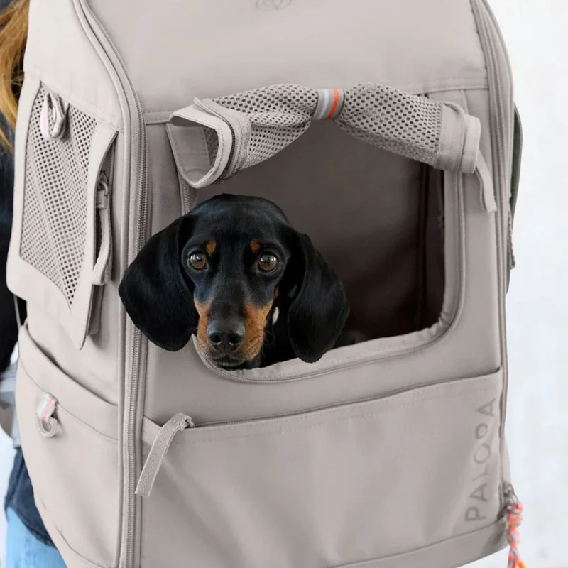 Hundetragerucksack Kari Taupe