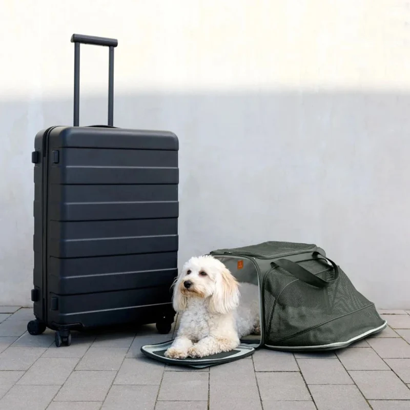 Hundetrage- und Reisetasche Benno Dunkelgrün