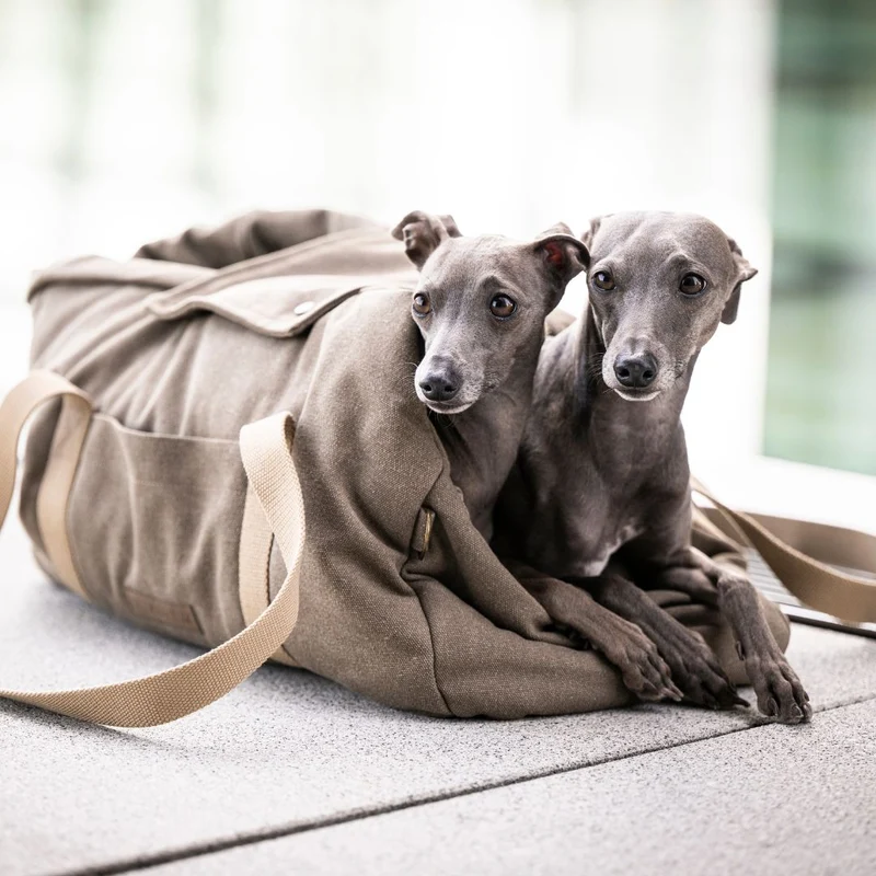 Hundetasche Lucca All Seasons Canvas Sand C7 x Woofstuff