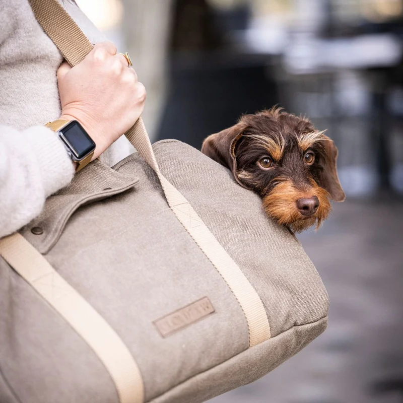 Hundetasche Lucca All Seasons Canvas Sand C7 x Woofstuff
