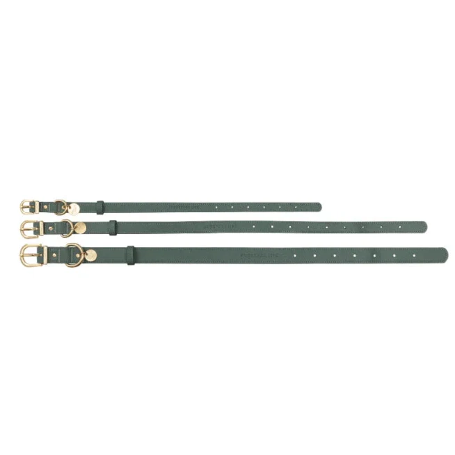 Hundehalsband Atelier Salbei