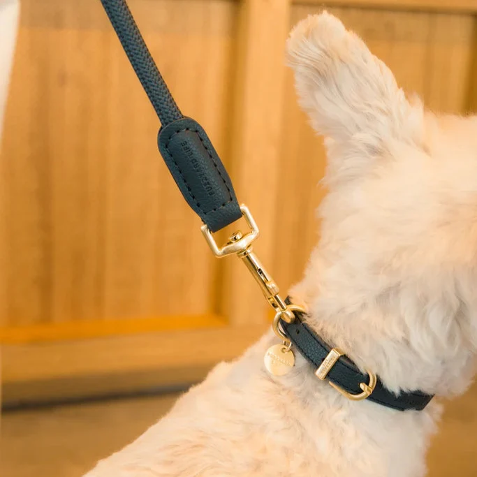 Hundehalsband Atelier Slate Grey