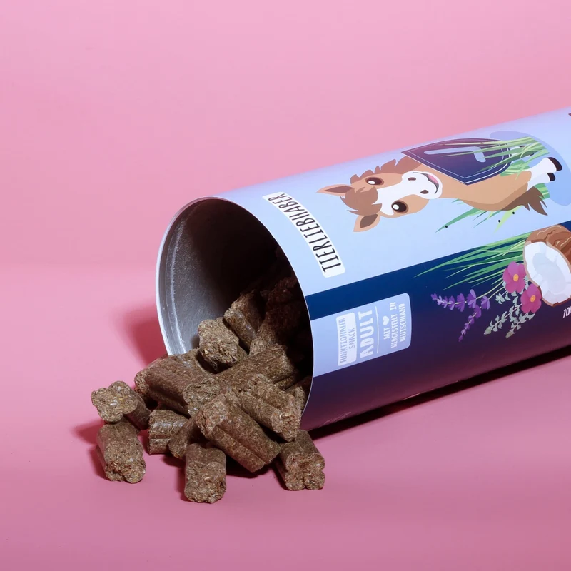XXL Schutz Paket Pferd