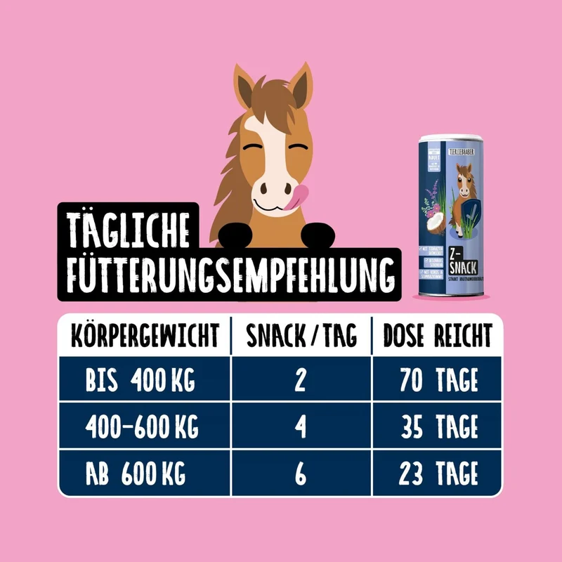 XXL Schutz Paket Pferd