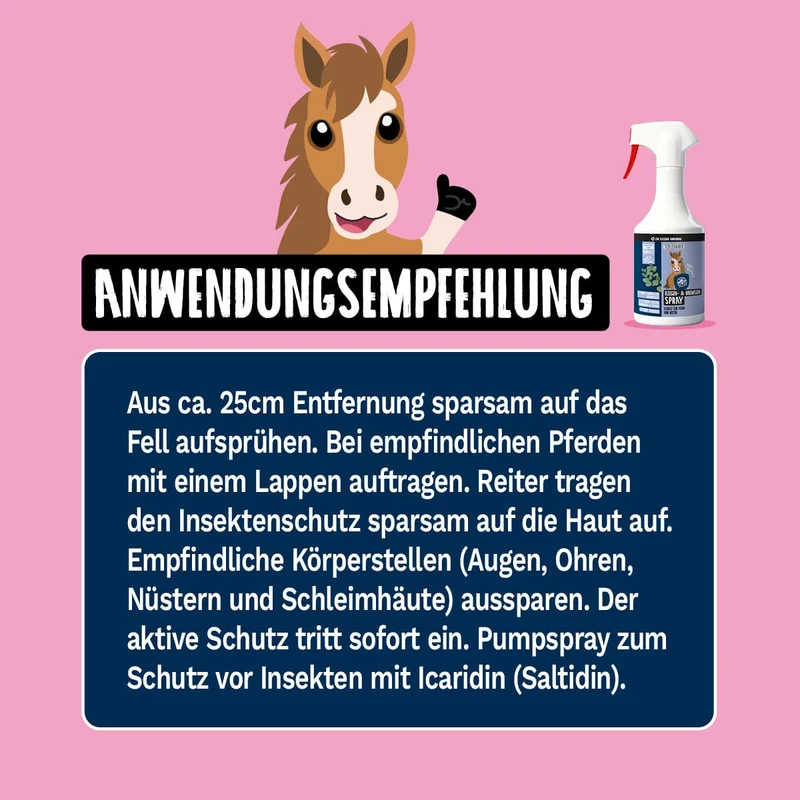 XXL Schutz Paket Pferd