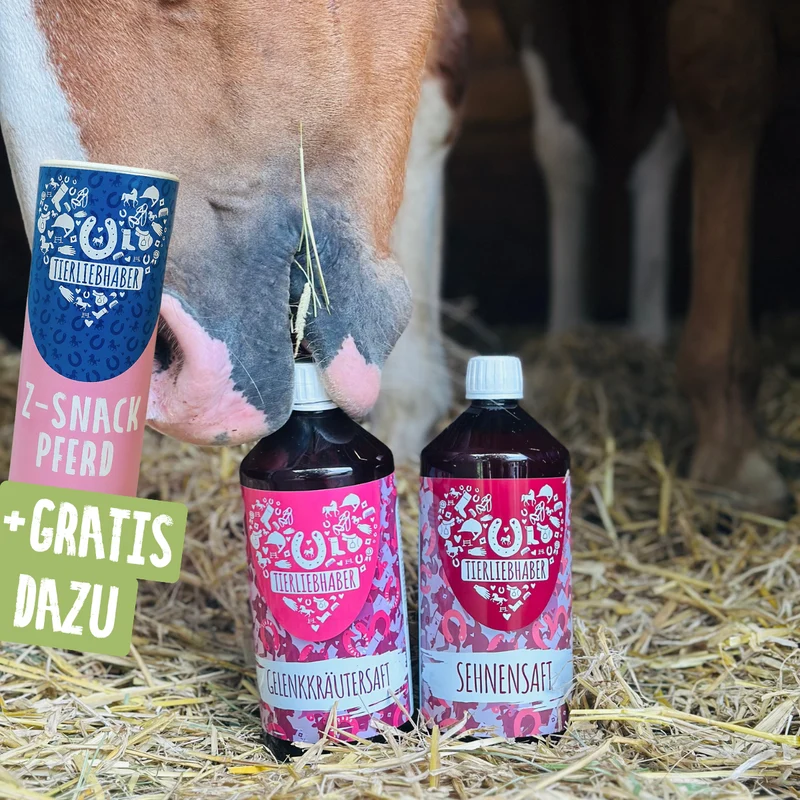 Sehnen & Gelenke Bundle Pferd