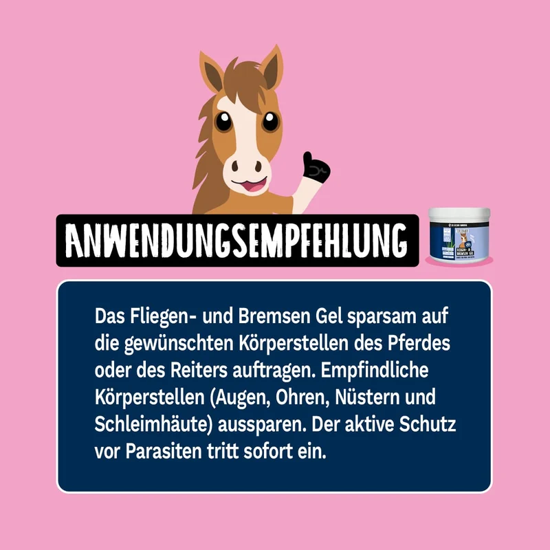 XL Schutz Paket Pferd