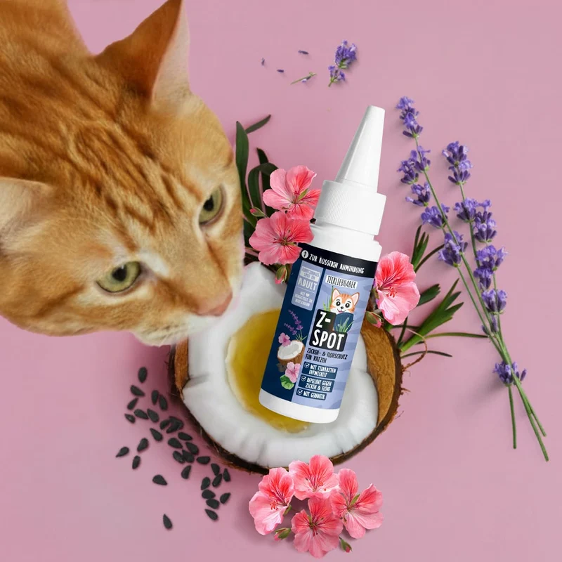 Z-Spot Katze
