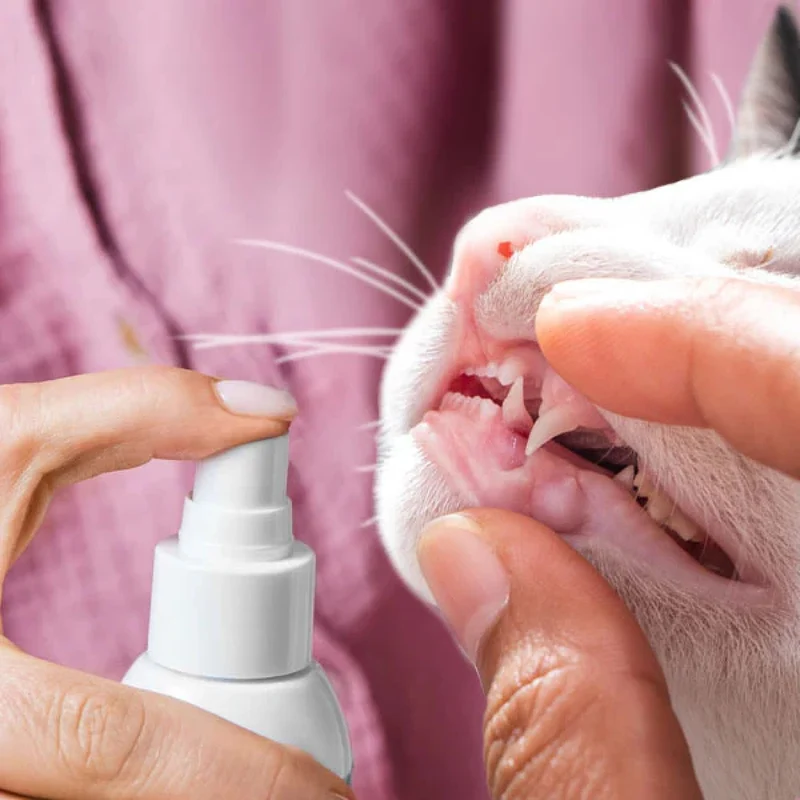 Dentalspray für Katzen