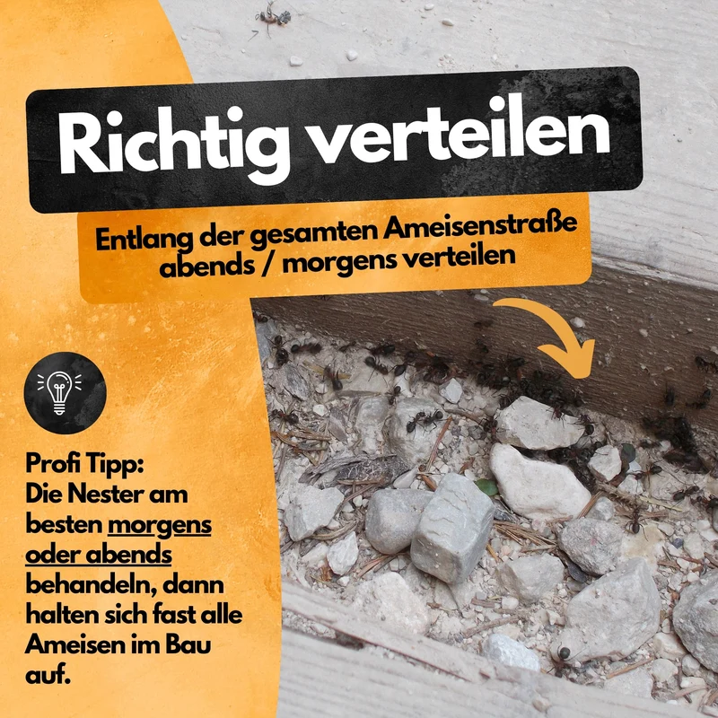 Ameisen Abwehr Pulver – 4 Kg XXL Set – Für Innen & Außen