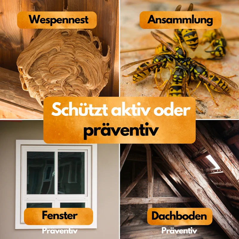 Wespenfalle mit 2x50ml Lockstoff – Ohne Insektizide – Made in EU