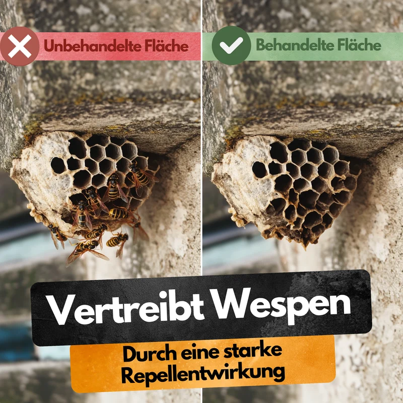 Wespenfalle mit 2x50ml Lockstoff – Ohne Insektizide – Made in EU