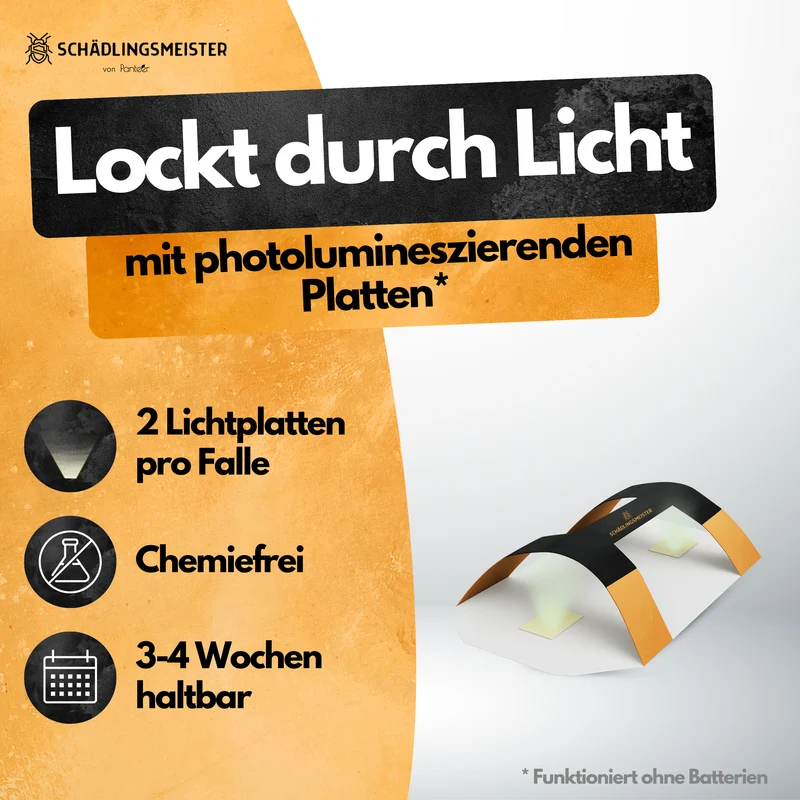 Käfer Licht Falle – 6er Set – Chemiefrei & Geruchlos – Photolumineszierend