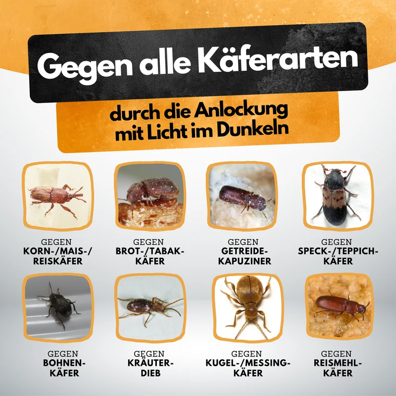 Käfer Licht Falle – 6er Set – Chemiefrei & Geruchlos – Photolumineszierend