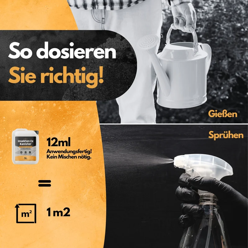 Ameisen Insektizid! – Insekten Ex Kanister – 5L – Anwendungsfertig