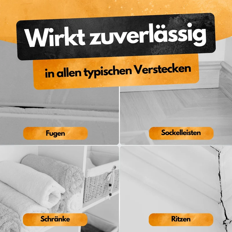 Gegen Silberfische! – Insektenschutz Abwehrmittel Kanister – 5L - Anwendungsfertig