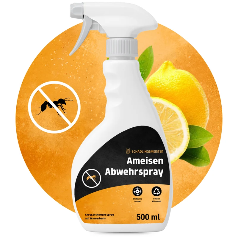 Ameisen Abwehrspray - 500 ml - Repellent - Mit Eukalyptus