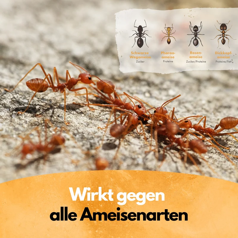 Ameisen-Ex Pulver - Ameisenstreu XXL - 5 Kg