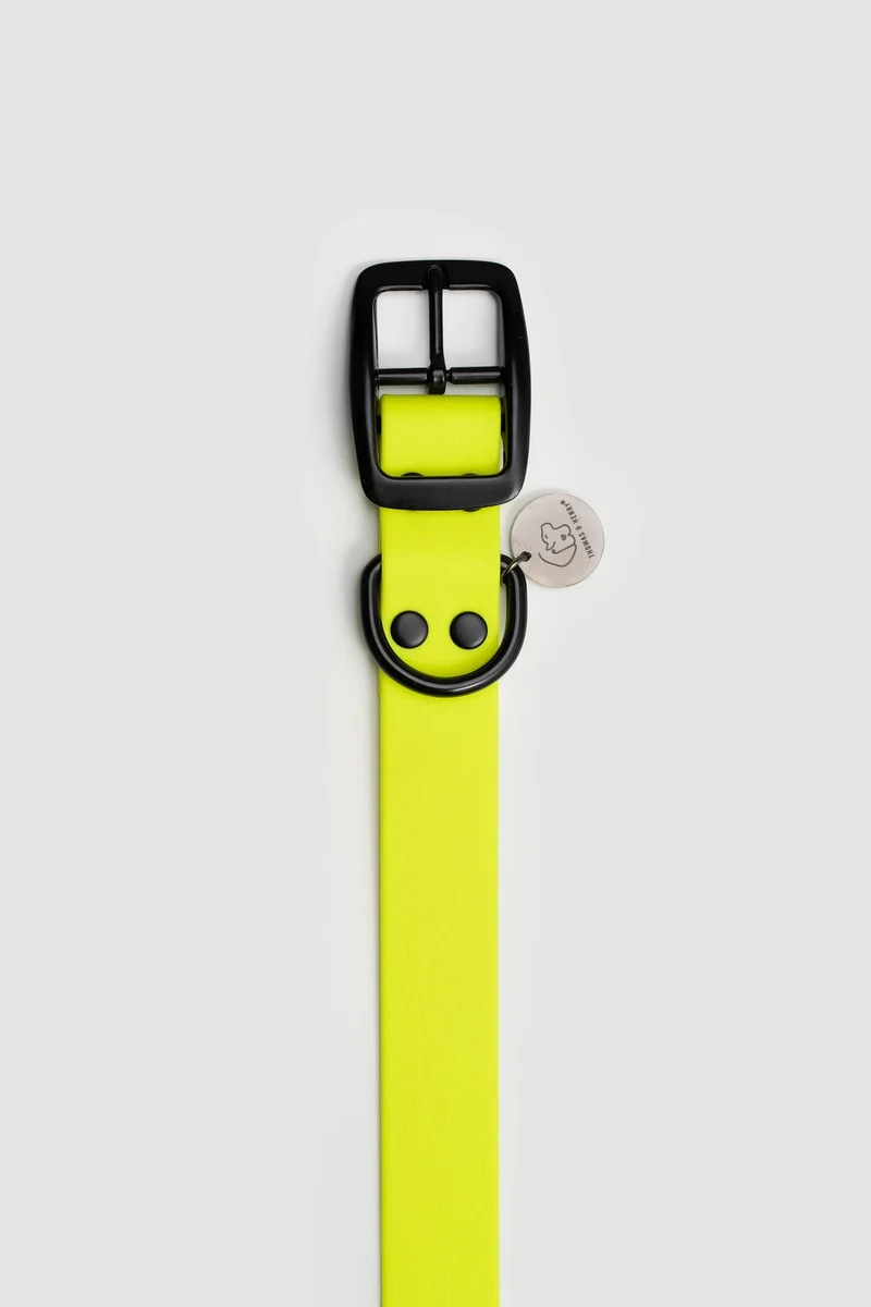 Biothane Hundehalsband | gelb