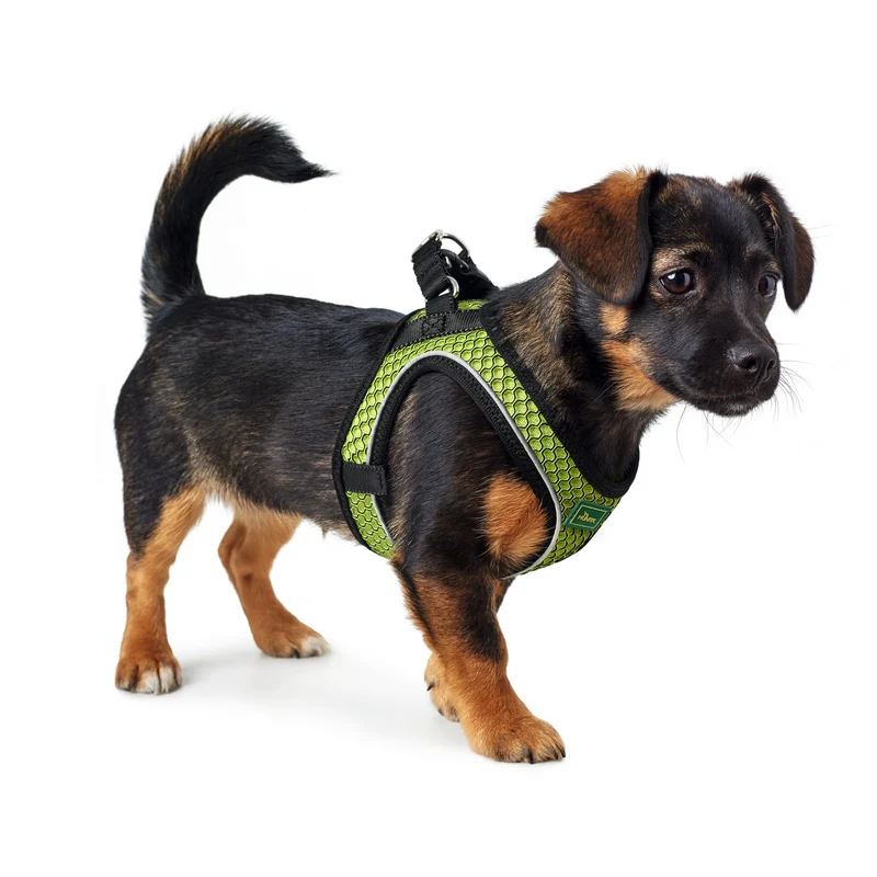 Hundegeschirr "Hilo Comfort" | limette