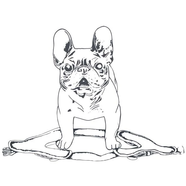 Hundegeschirr "Hilo Comfort" | limette